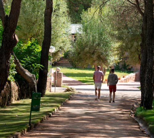 Imagen de Facultad de Ciencias de la Vida y de la Naturaleza