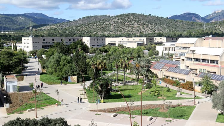 Imagen de Facultad de Educación