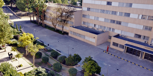Imagen de Facultad de Biología